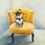Picture of LITTLE DOG ON A YELLOW ARMCHAIR