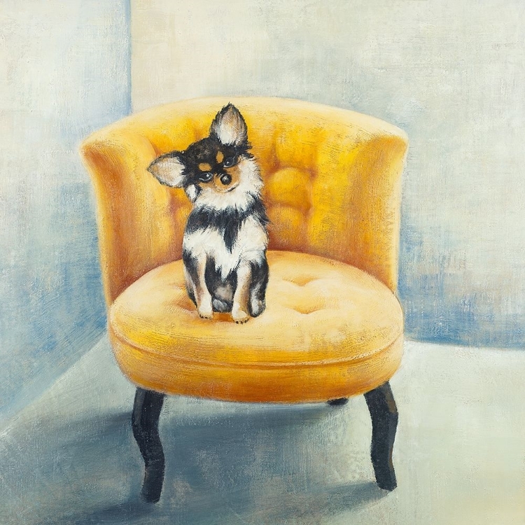 Picture of LITTLE DOG ON A YELLOW ARMCHAIR