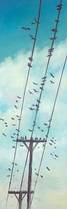 Picture of BIRDS ON ELECTRIC WIRE