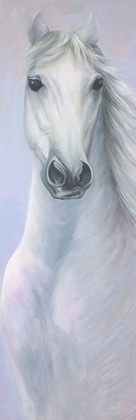 Picture of POWERFUL WHITE HORSE
