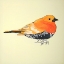 Picture of LITTLE ORANGE BIRD ILLUSTRATION