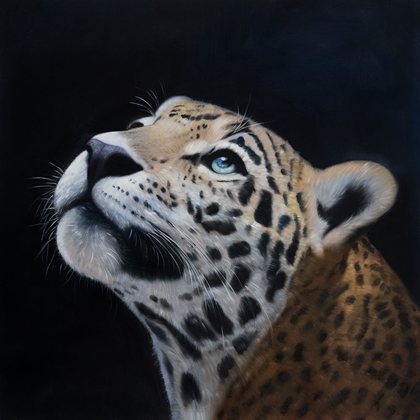 Picture of REALISTIC LEOPARD FACE