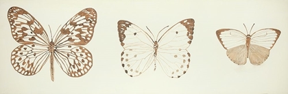 Picture of MONARCH BUTTERFLIES SKETCH