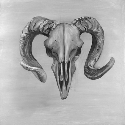 Picture of GRAYSCALE ARIES SKULL