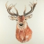 Picture of FRONT DEER PORTRAIT