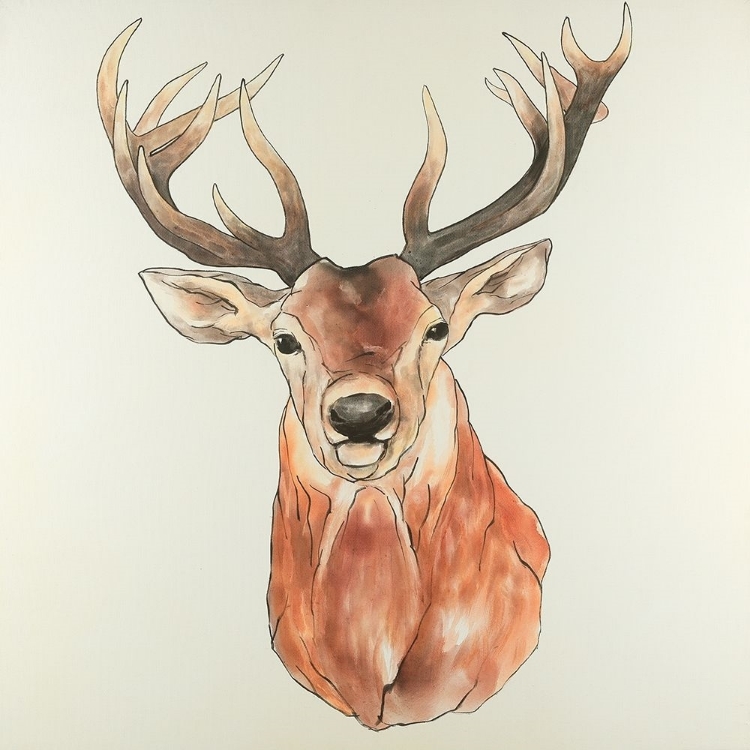 Picture of FRONT DEER PORTRAIT