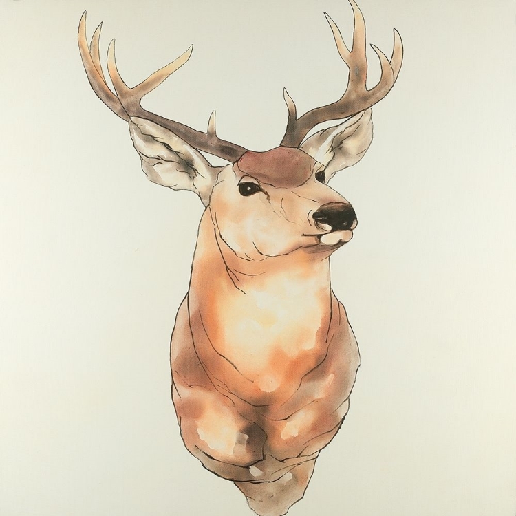 Picture of DEER PORTRAIT