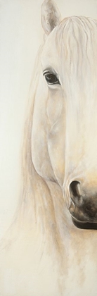 Picture of HALF PORTRAIT OF A SMILING HORSE