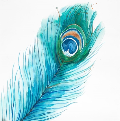 Picture of LONG PEACOCK FEATHER