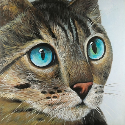 Picture of CURIOUS CAT PORTRAIT