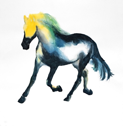 Picture of GALLOPING COLORFUL HORSE