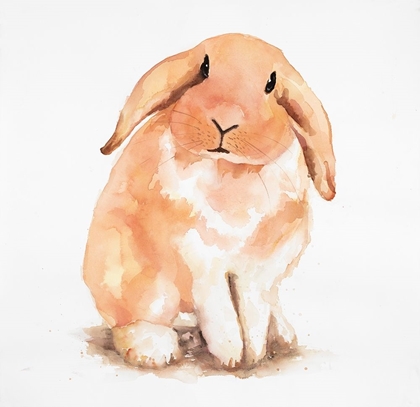 Picture of FUZZY LOP RABBIT