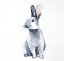 Picture of CURIOUS REX RABBIT