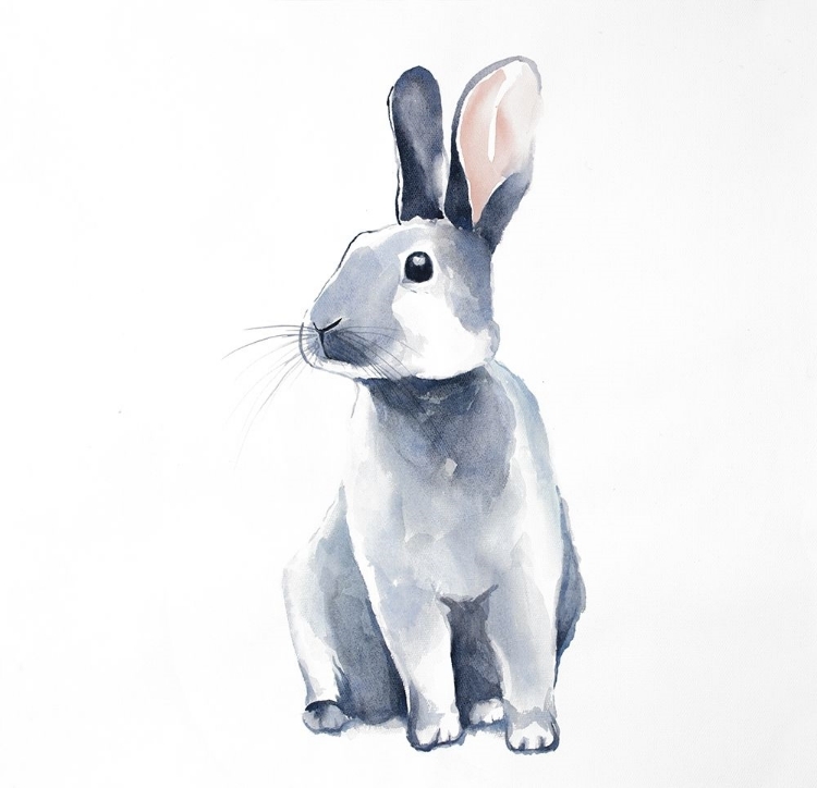 Picture of CURIOUS REX RABBIT