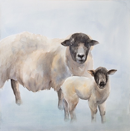 Picture of SHEEP WITH A LAMB