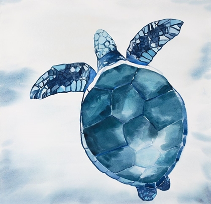 Picture of WATERCOLOR SWIMMING TURTLE