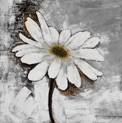 Picture of ABSTRACT DAISY FLOWER