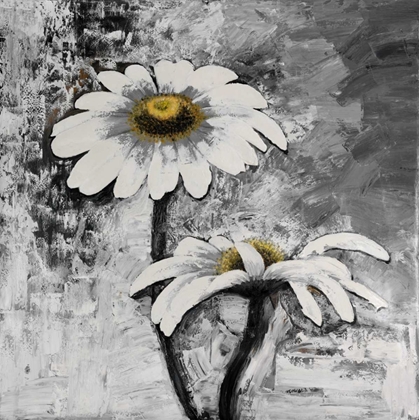 Picture of ABSTRACT DAISIES FLOWERS