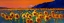 Picture of SUNFLOWER FIELDS
