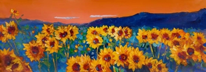 Picture of SUNSET ON SUNFLOWER FIELDS