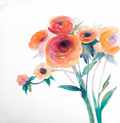 Picture of WATERCOLOR FLOWERS