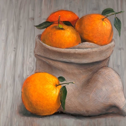 Picture of BAG OF ORANGE FRUIT