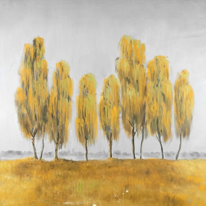 Picture of SEVEN YELLOW TREES ABSTRACT