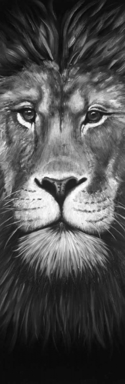 Picture of LION PORTRAIT