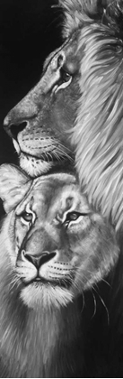 Picture of LION AND LIONESS