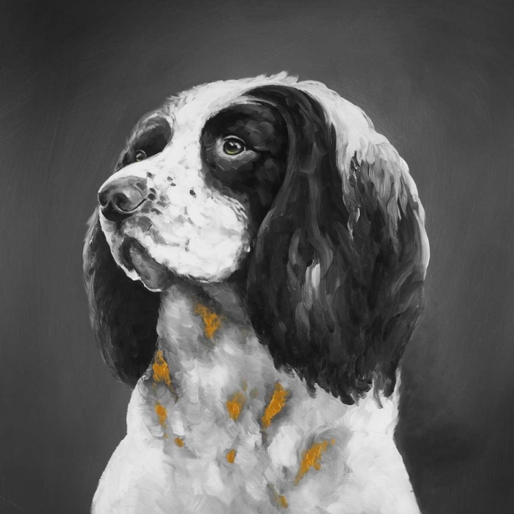 Picture of ENGLISH SPRINGER SPANIEL DOG