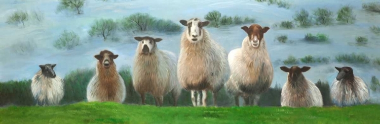 Picture of FLOCK OF SHEEP