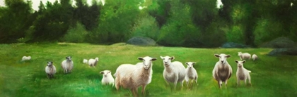 Picture of FIELDS OF SHEEP