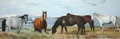 Picture of HERD OF WILD HORSES