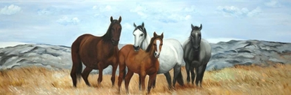 Picture of GROUP OF WILD HORSES