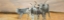 Picture of NGUNI CATTLE