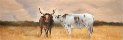 Picture of NGUNI BULL