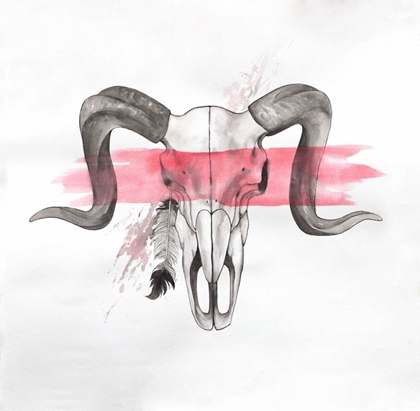 Picture of SHEEP RAM SKULL HORNS IN WATERCOLOR