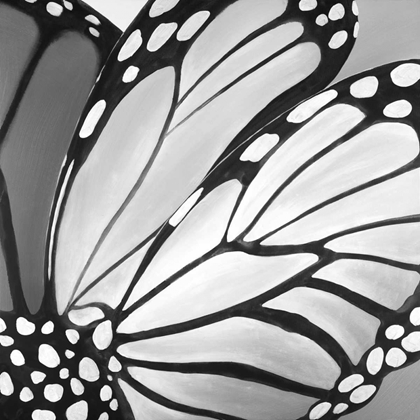 Picture of BUTTERFLY WINGS