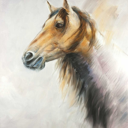 Picture of HORSE PORTRAIT