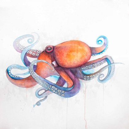 Picture of COLORFUL OCTOPUS