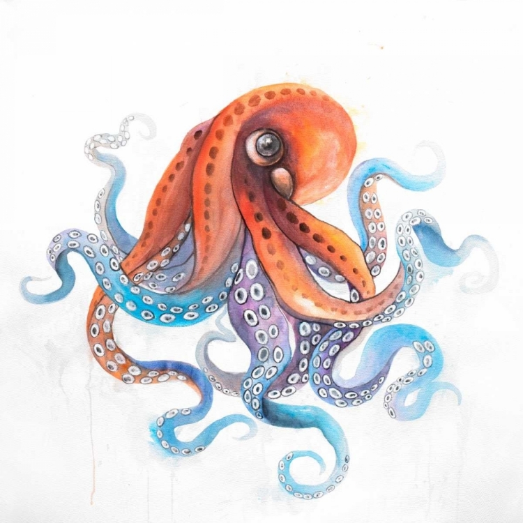 Picture of WATERCOLOR OCTUPUS