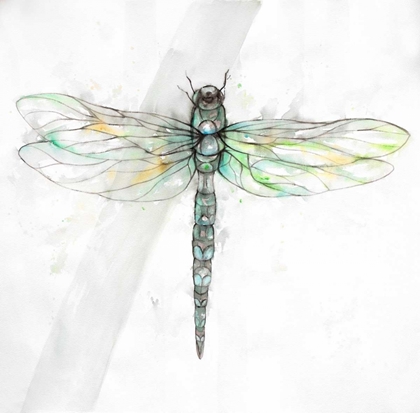 Picture of DRAGONFLY