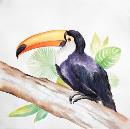Picture of TROPICAL BIRD