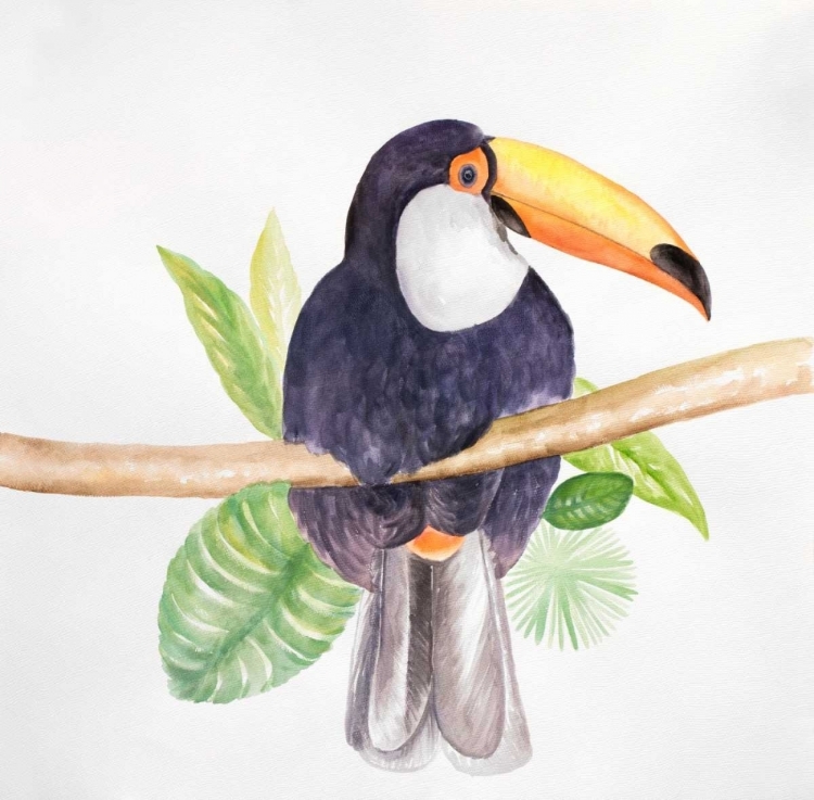 Picture of TOUCAN BIRD