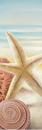 Picture of STARFISH AND SEASHELLS AT THE BEACH