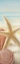 Picture of STARFISH AND SEASHELLS AT THE BEACH