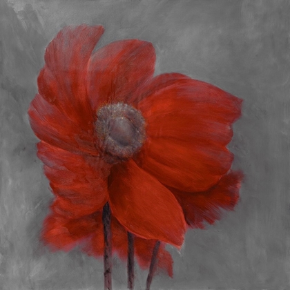 Picture of RED FLOWER IN THE WIND