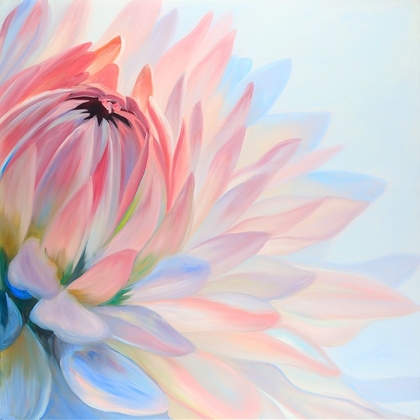 Picture of LOTUS PASTEL FLOWER