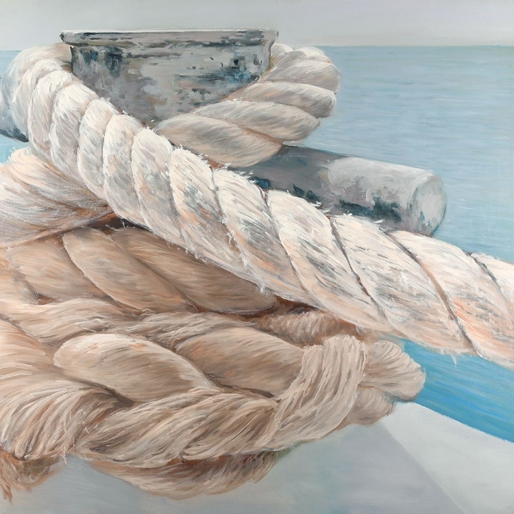 Picture of TIE-DOWN ROPES CLOSEUP