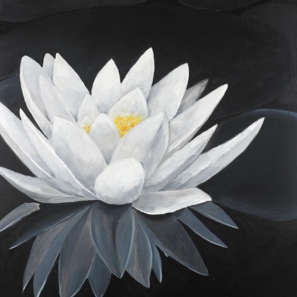 Picture of LOTUS FLOWER WITH REFLECTION